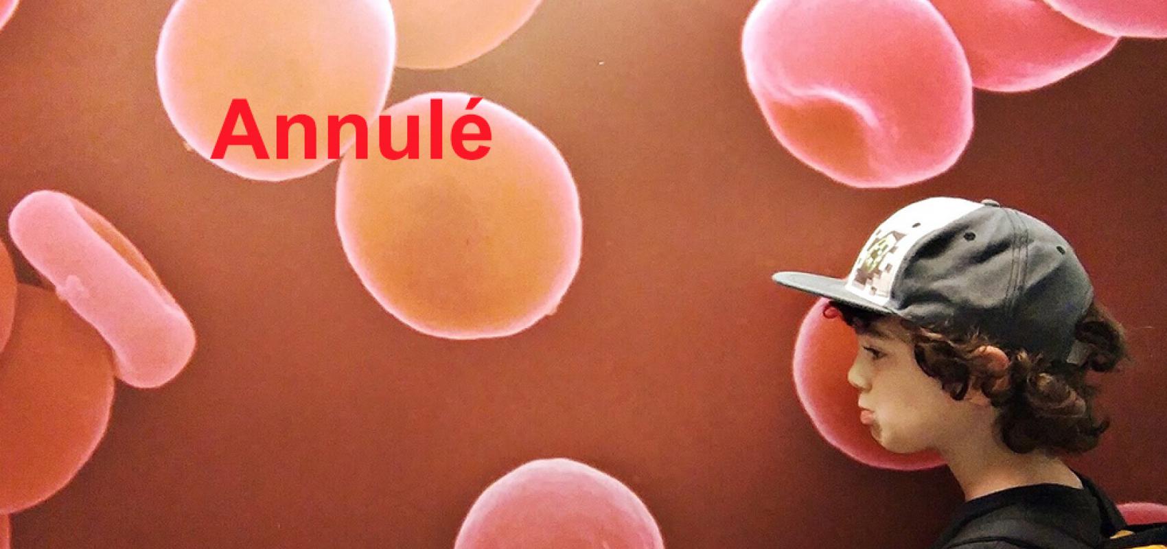 Red blood cells / Globules rouges -  - BnF