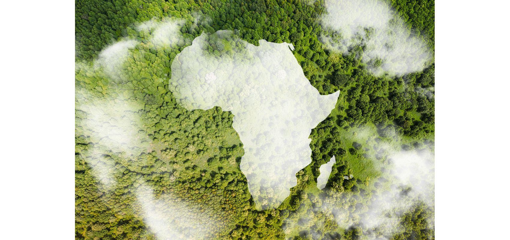 Vue aérienne d'une forêt avec la forme de l'Afrique -  - © 2024 Runawayphill / Shutterstock