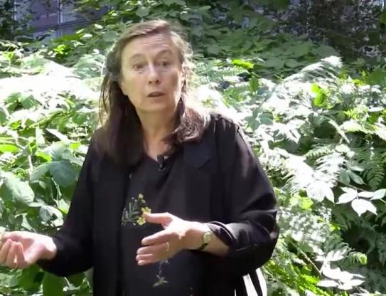 Témoignage de Sylvie Boufflet, responsable des espaces verts de la BnF